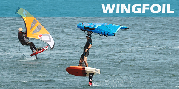 セールスショップ wing foil ウイング フォイル ウィング Naish sup